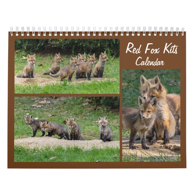 Red Fox Kits Calendar (Cover)