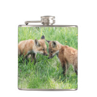 Red Fox Kits