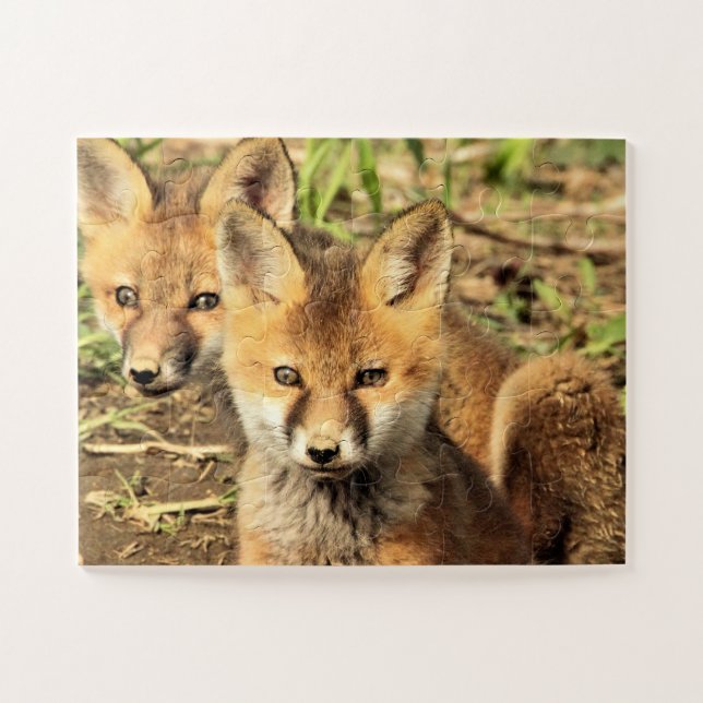 Red Fox Kits Jigsaw Puzzle (Horizontal)