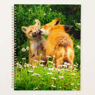 Red Fox Kits Planner Woodland Wildlife Art