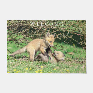Red Fox Kits Playing Doormat