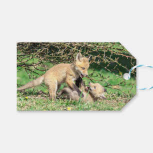 Red Fox Kits Playing Gift Tags