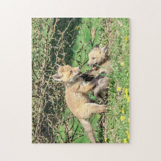 Red Fox Kits Playing Jigsaw Puzzle (Vertical)
