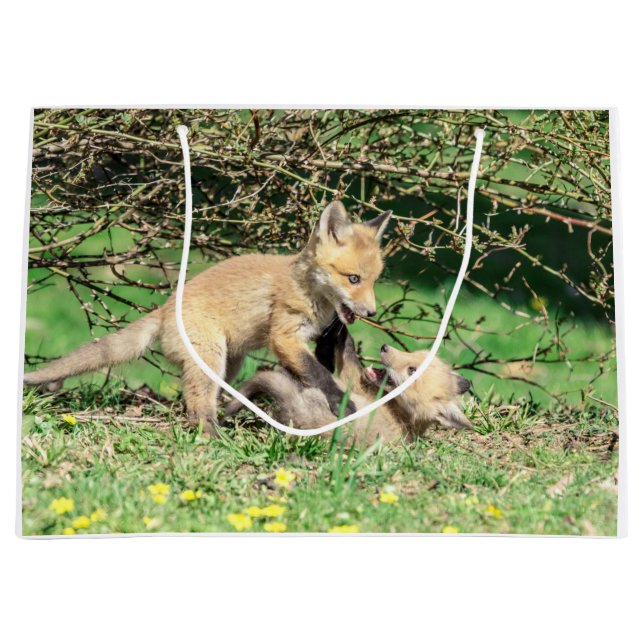 Red Fox Kits Playing Large Gift Bag (Front)