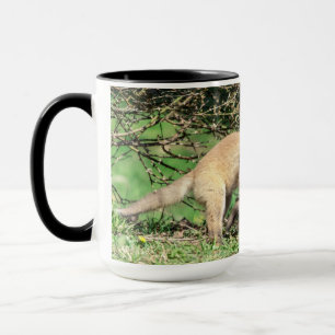 Red Fox Kits Playing Mug
