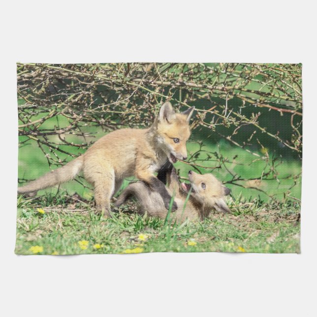 Red Fox Kits Playing Tea Towel (Horizontal)