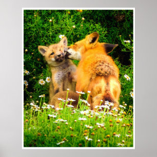 Red Fox Kits Wall Art Wildlife Meadow Print