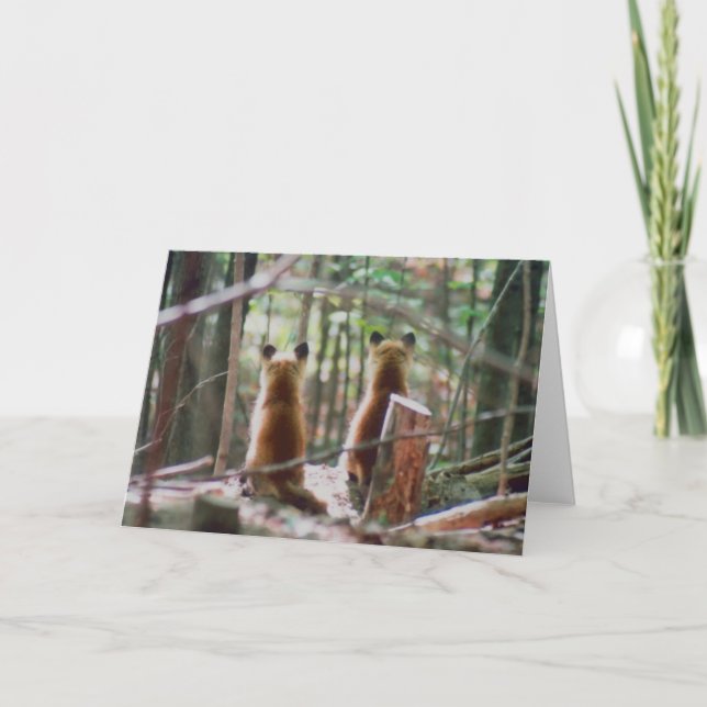 Red Fox Kits watching Card (Front)