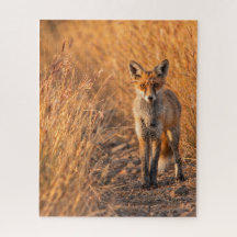 Red Fox Nature Inspired Wildlife Design