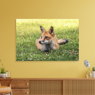 Red Fox On A Bed Of Clover (Horizonal) Canvas Print