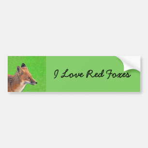 Red Fox Painting - Original Wildlife Art Bumper Sticker