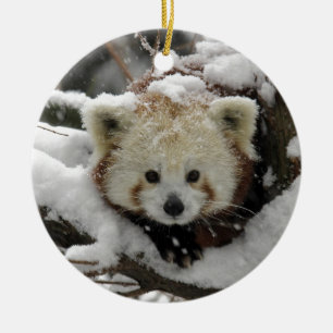 Red Fox Panda Bearcub Ceramic Tree Decoration