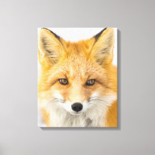 Red Fox Portrait Canvas Print