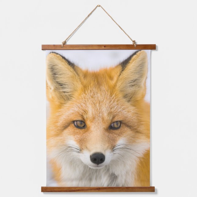 Red Fox Portrait Hanging Tapestry (Front)