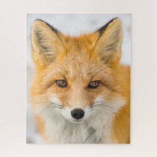 Red Fox Portrait Jigsaw Puzzle