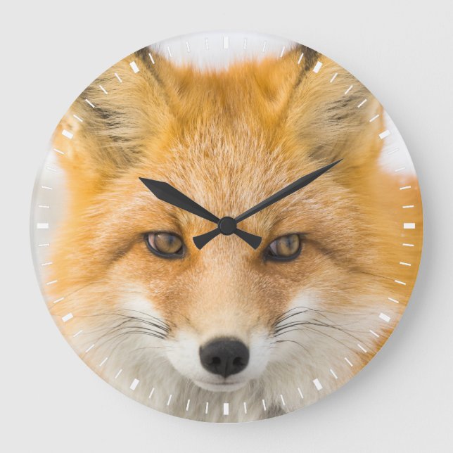 Red Fox Portrait Large Clock (Front)