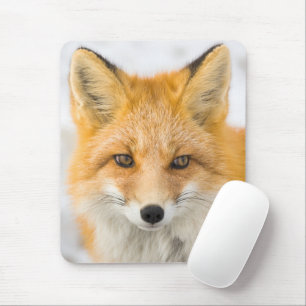 Red Fox Portrait Mouse Pad