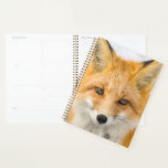 Red Fox Portrait Planner<br><div class="desc">Red fox in Alaska's Arctic,  Atigun Pass,  Brooks Range</div>
