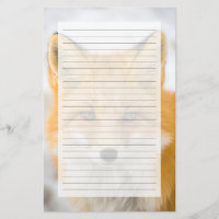 Red Fox Portrait