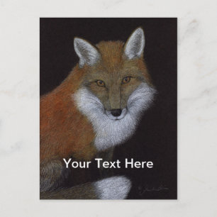 Red Fox Postcard