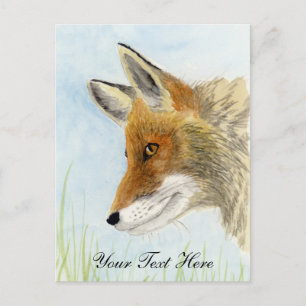 Red Fox Postcard