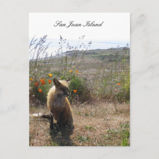 Red Fox Postcard