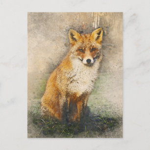 Red Fox Postcard