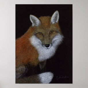 Red Fox Poster