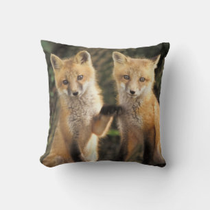 Red Fox pup in front of den Vulpes vulpes) Cushion