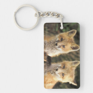 Red Fox pup in front of den Vulpes vulpes) Key Ring