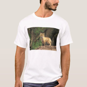 Red Fox pup in front of den (Vulpes vulpes) T-Shirt