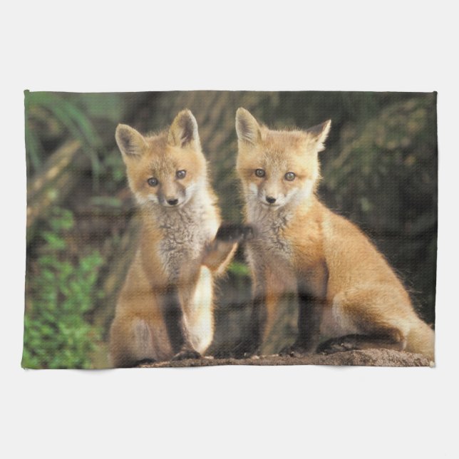 Red Fox pup in front of den Vulpes vulpes) Tea Towel (Horizontal)