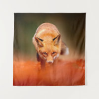 Red fox running on orange autumn leaves. Cute Red