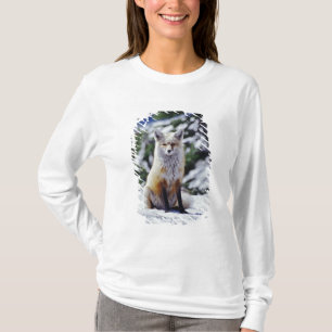 Red Fox sitting on snow bank, Vulpes, Mt. T-Shirt