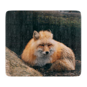 Red Fox Sleeping Cutting Board