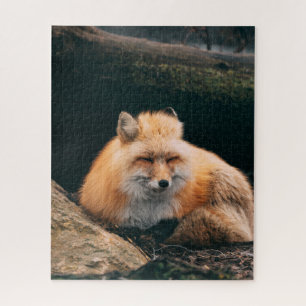 Red Fox Sleeping Jigsaw Puzzle