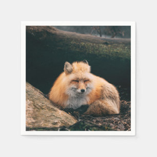 Red Fox Sleeping Napkin