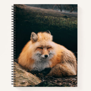 Red Fox Sleeping Notebook