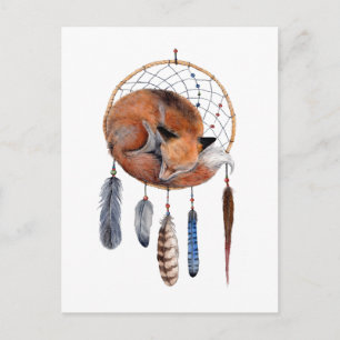 Red Fox Sleeping on Dreamcatcher Postcard