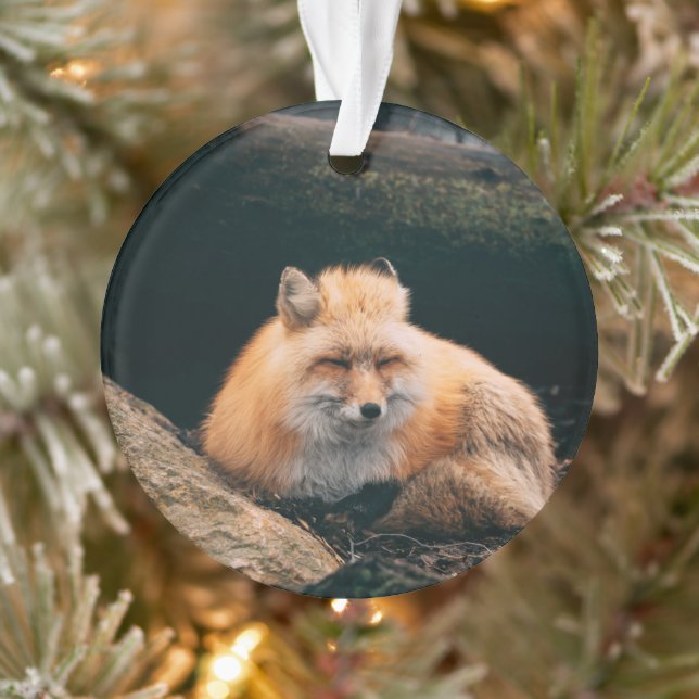 Red Fox Sleeping Ornament (Tree)