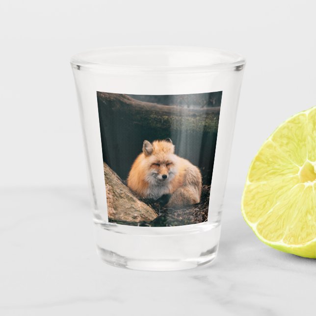 Red Fox Sleeping Shot Glass (Front)