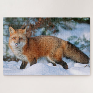 Red Fox Snow in Winter, Montana Jigsaw Puzzle