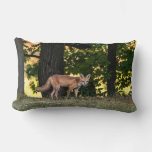 Red Fox Sun And Shade Lumbar Cushion