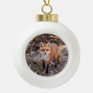 Red Fox up close and personal Ceramic Ball Christmas Ornament