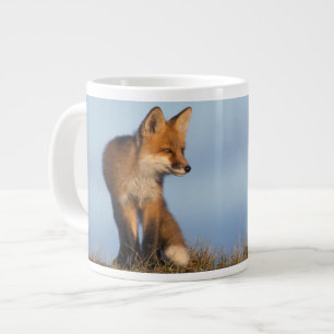 red fox, Vulpes vulpes Large Coffee Mug