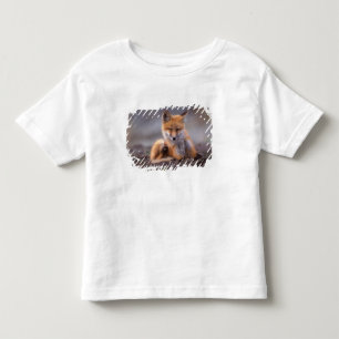 red fox, Vulpes vulpes, pup scratching itself, Toddler T-Shirt