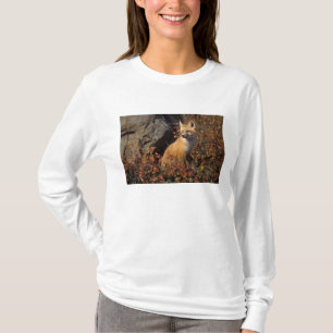 red fox, Vulpes vulpes T-Shirt