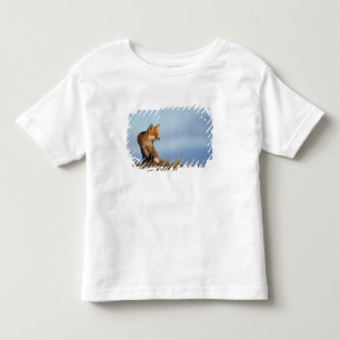 red fox, Vulpes vulpes Toddler T-Shirt