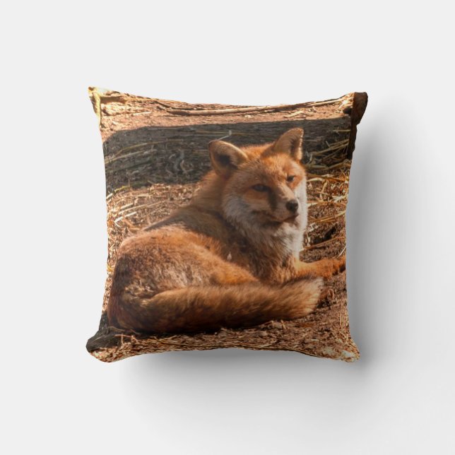 Red Fox Wild Animal Picture Cushion (Front)