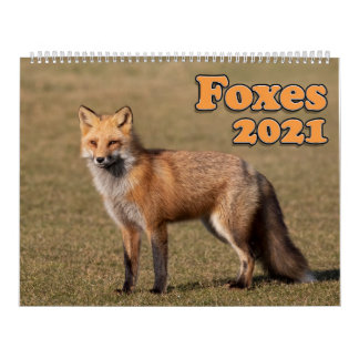 Red Foxes Calendar 2021